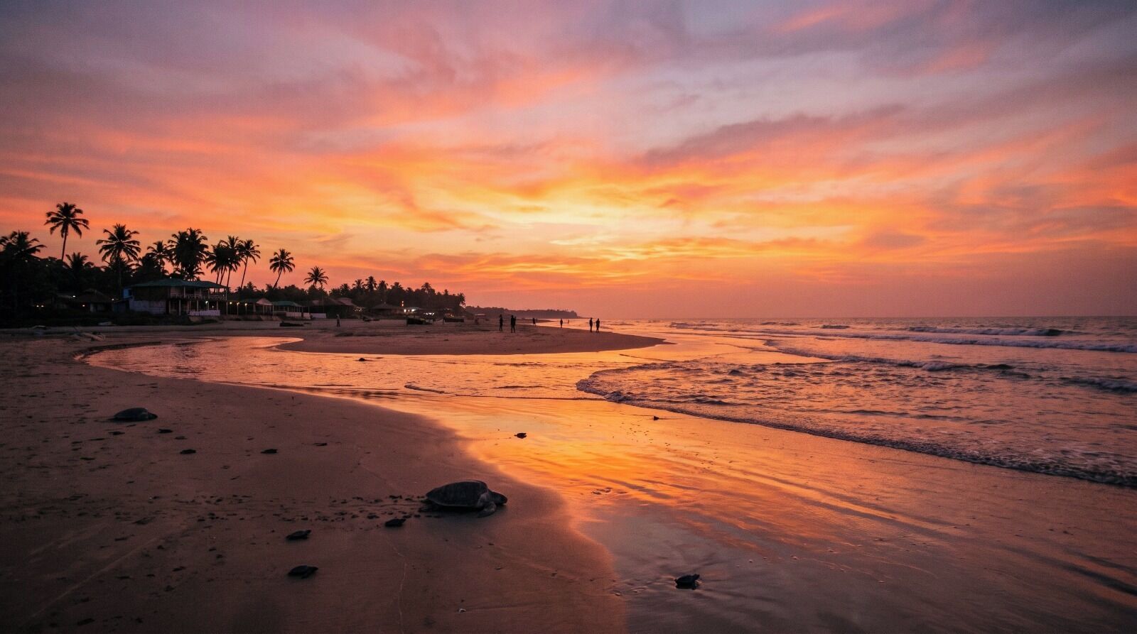 Ein Strand mit einer Schildkröte im Sand, Palmen und einem Sonnenuntergang.