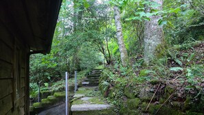 Eine steile Steintreppe führt durch ein bewaldetes Gebiet, mit moosbewachsenen Stufen und umgebender Vegetation.