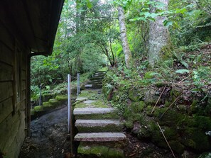 A stone staircase leading through a forested area with moss-covered steps and surrounding greenery. - Judges Hilltop - Highlands, NC (Highlands)