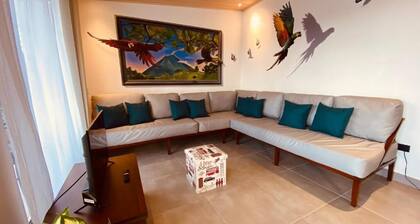 Casa Macaw