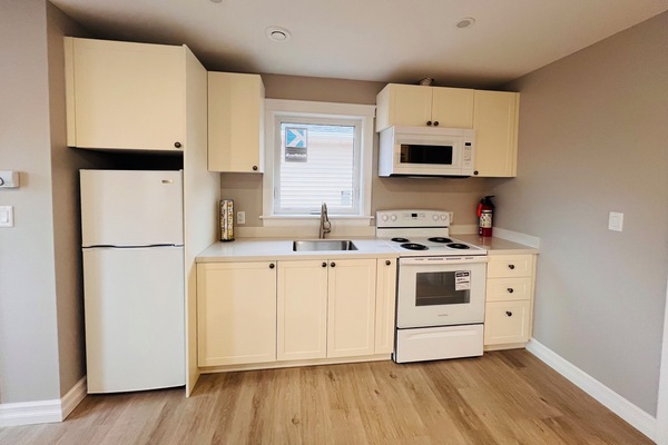 Full-sized fridge, microwave, oven, stovetop
