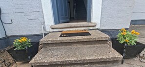 A set of stone steps leading to a door with a doormat, two potted plants with yellow flowers, and a textured wall.