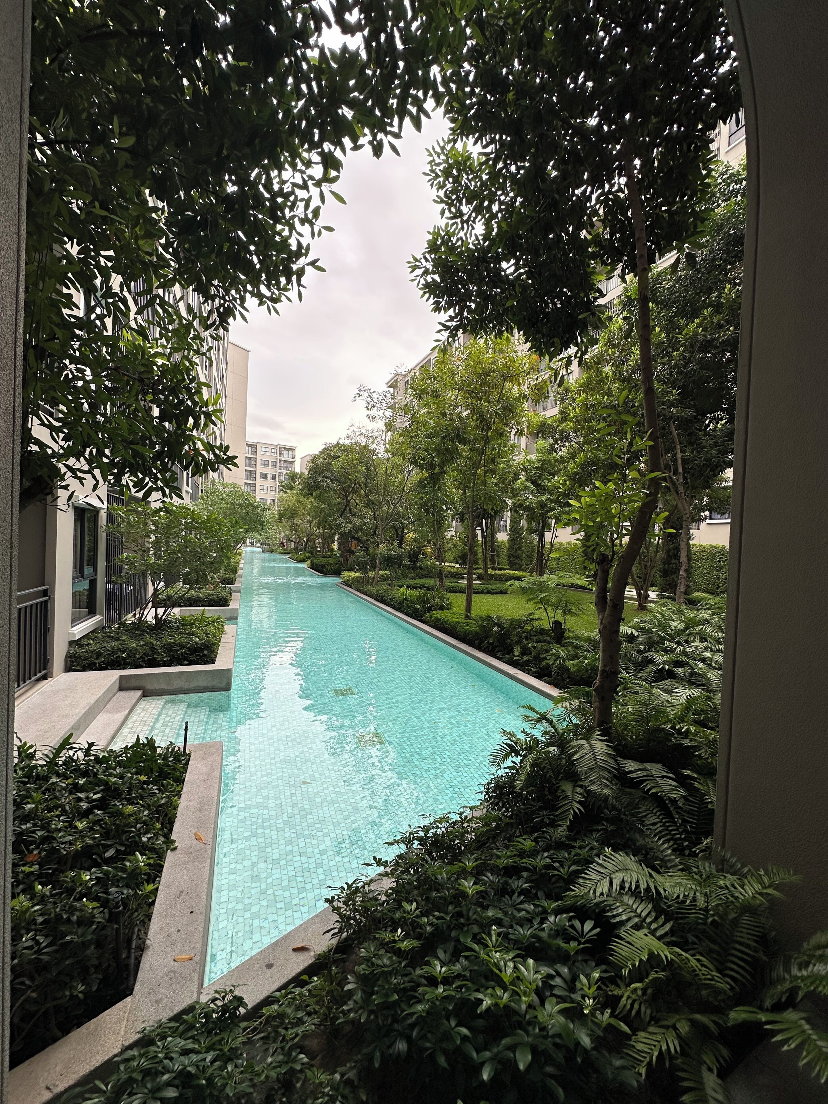 A swimming pool surrounded by greenery and modern buildings.