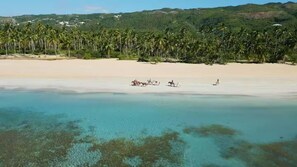 A beach with clear turquoise water, a sandy shore, and a line of palm trees in the background. - Villa Pura Vida 4BR private Villa with large Pool & Bungalow (Las Terrenas)