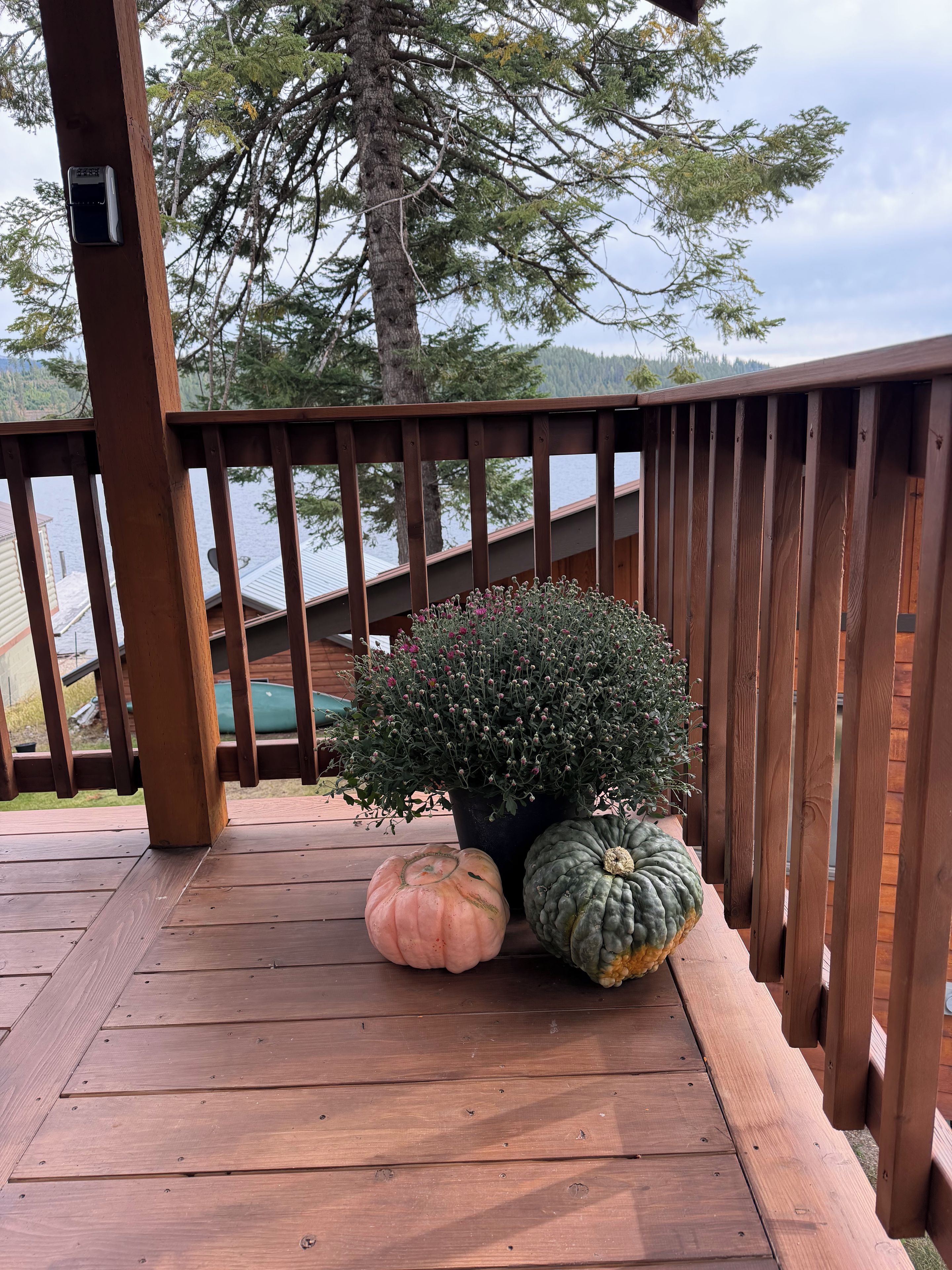 A wooden deck with a railing, a potted plant, and two pumpkins.