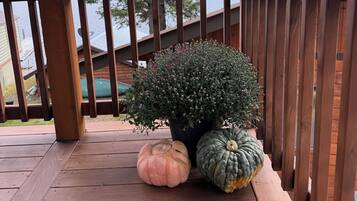 A wooden deck with a railing, a potted plant, and two pumpkins.