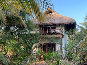 Una cabaña con techo de paja rodeada de densa vegetación tropical.