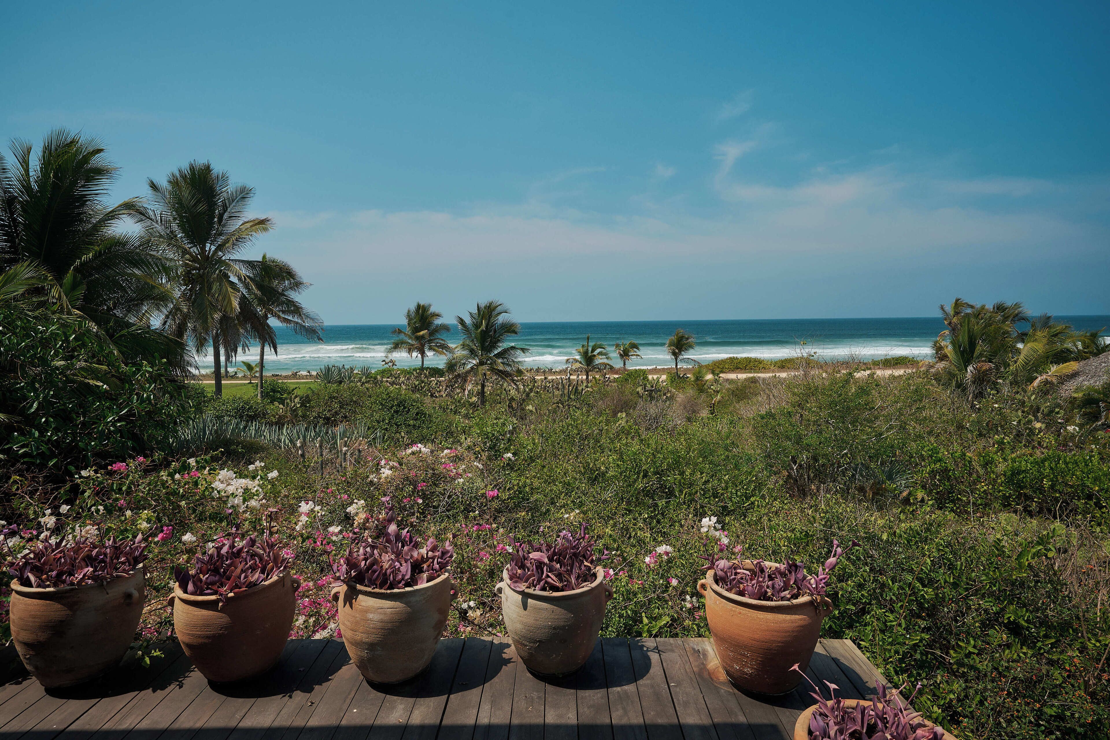 Una terraza de madera con macetas de terracota llenas de flores moradas, palmeras y vista al océano.