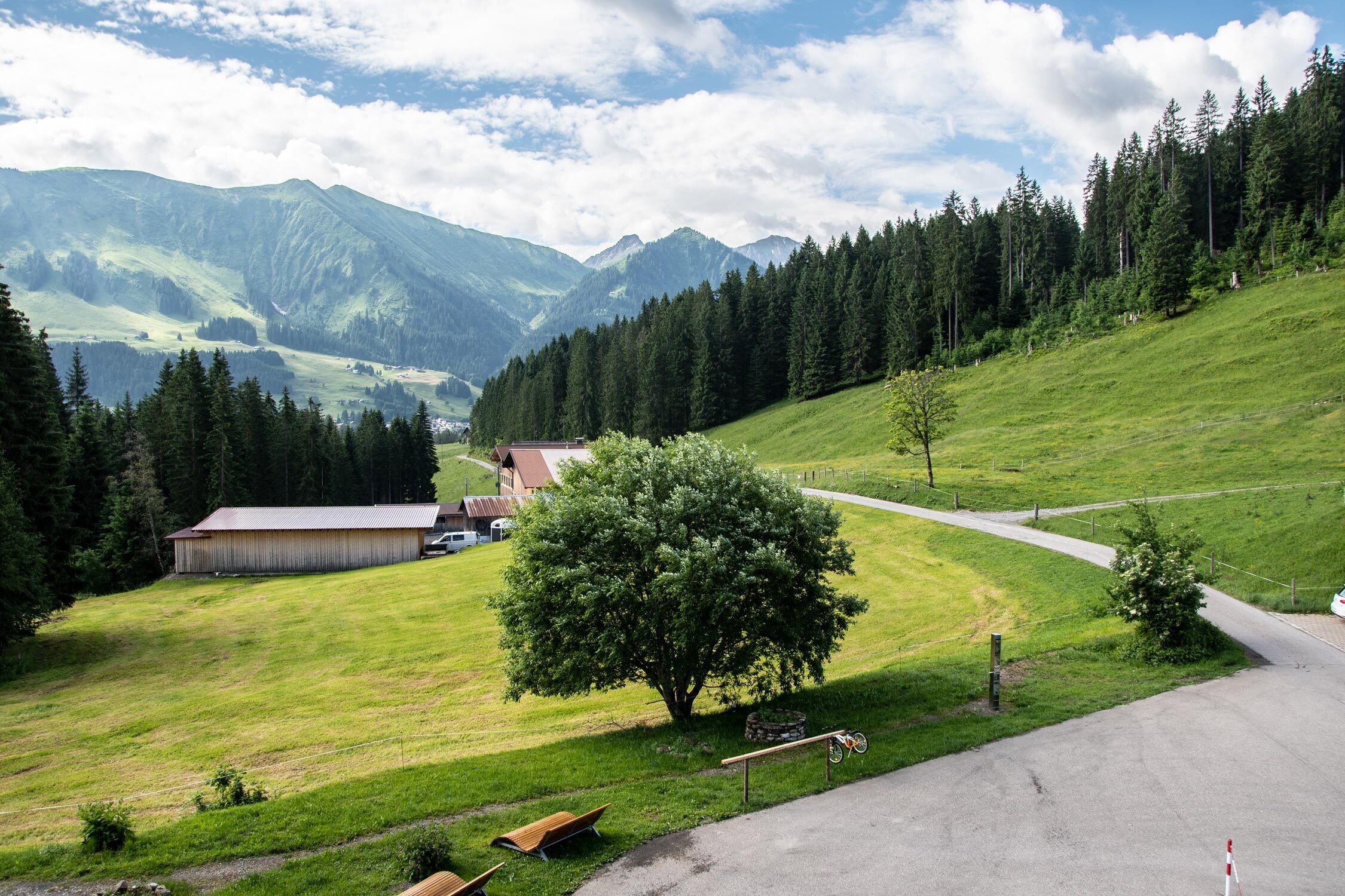 A rural landscape with a road, a large tree, and a building with a red roof.