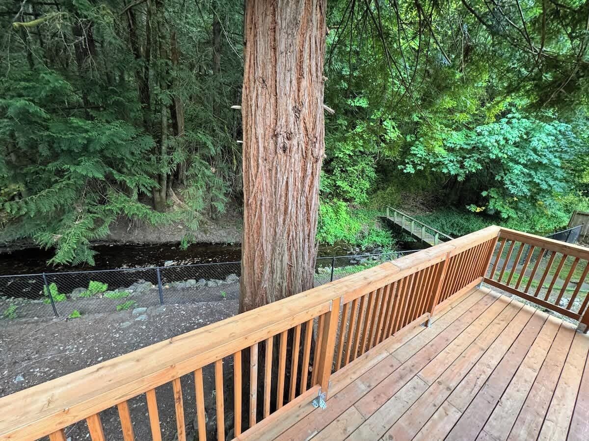 A wooden deck with a metal railing overlooking a forested area with a large tree and a stream.