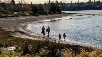 A waterfront with a curved shoreline, a small group of people, and a distant residential area.