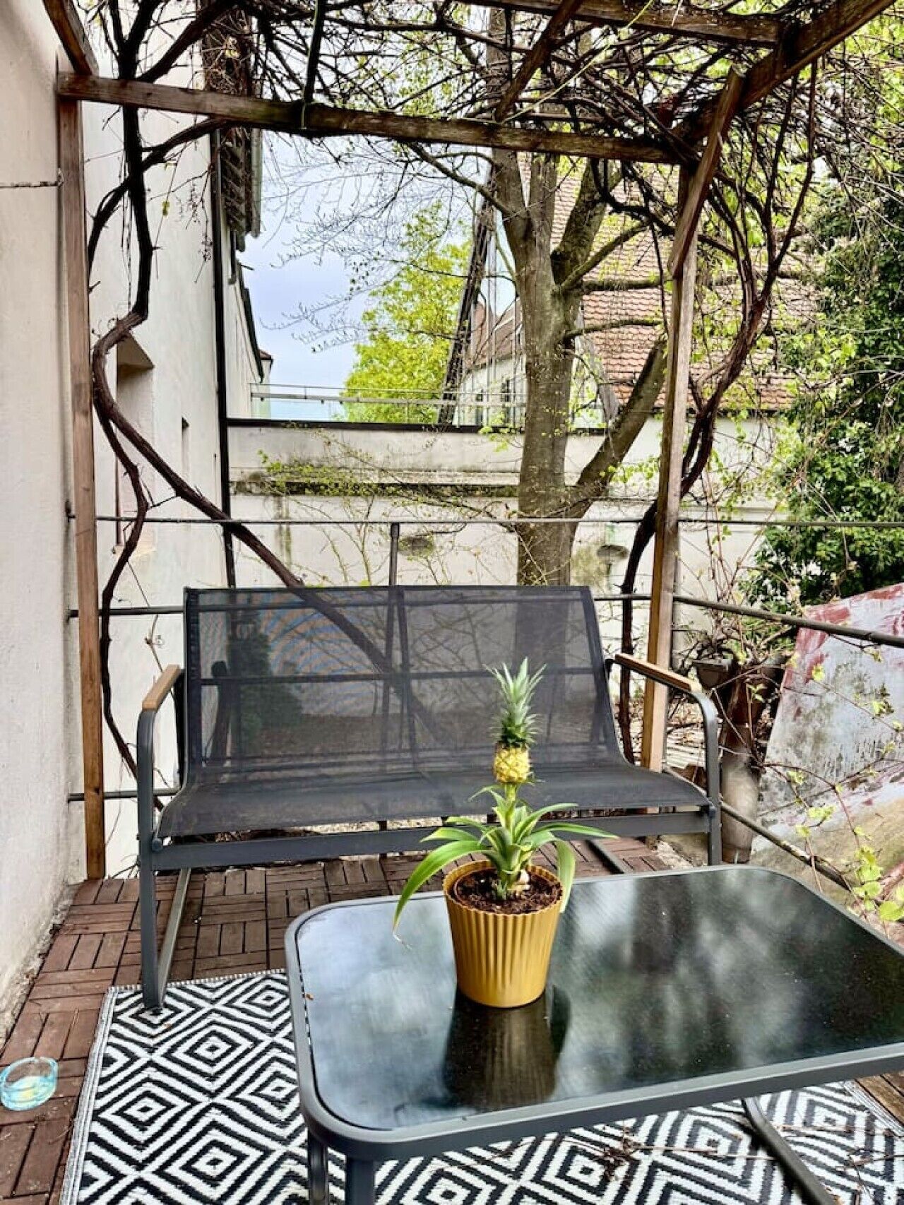 Un espace extérieur abrité, aménagé avec une table et des chaises en métal, un pot de fleurs et un tapis à motifs.