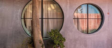 Una habitación con dos grandes ventanales circulares, un árbol y plantas en macetas.