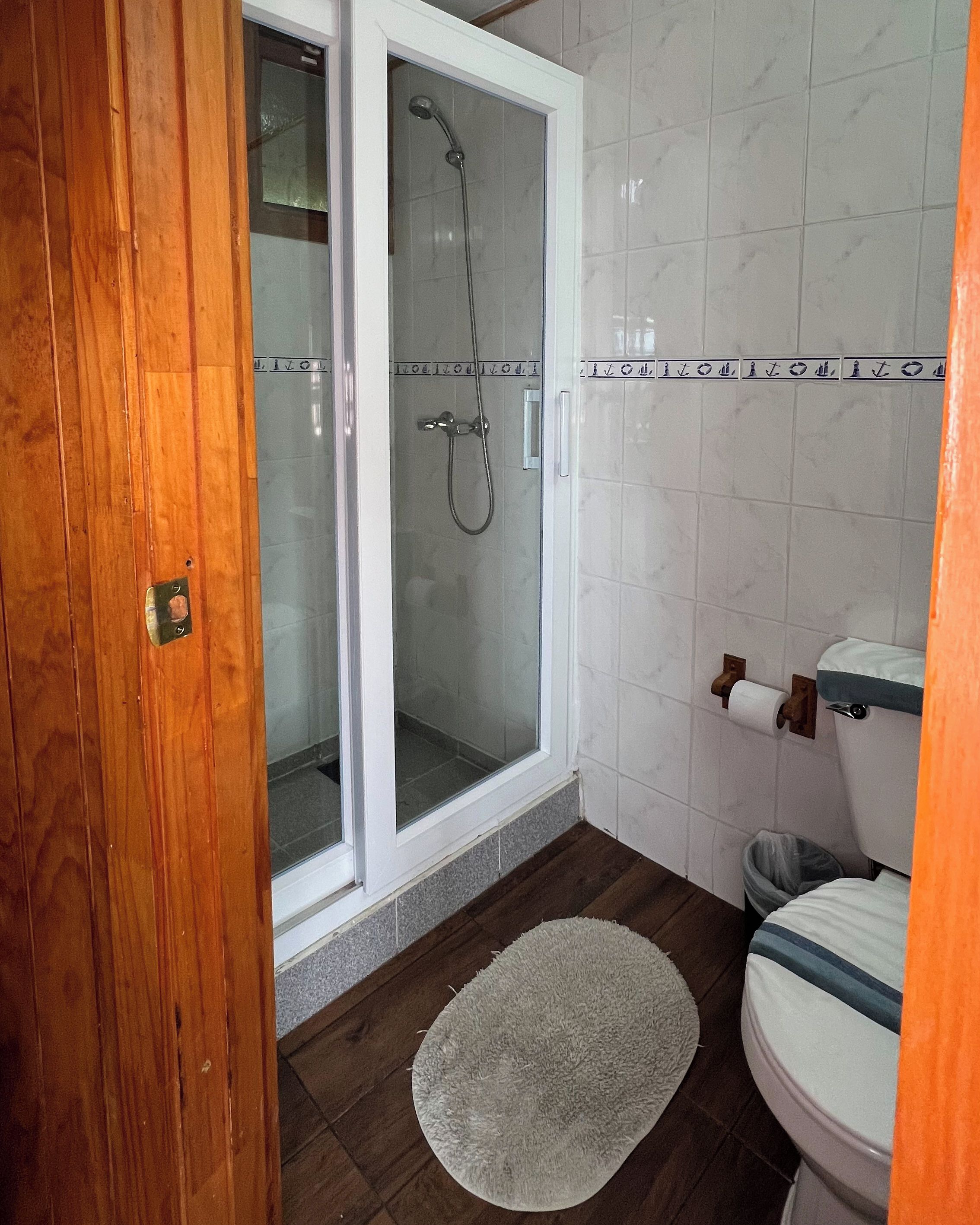 A bathroom with a glass-enclosed shower, a toilet, and a wooden floor.