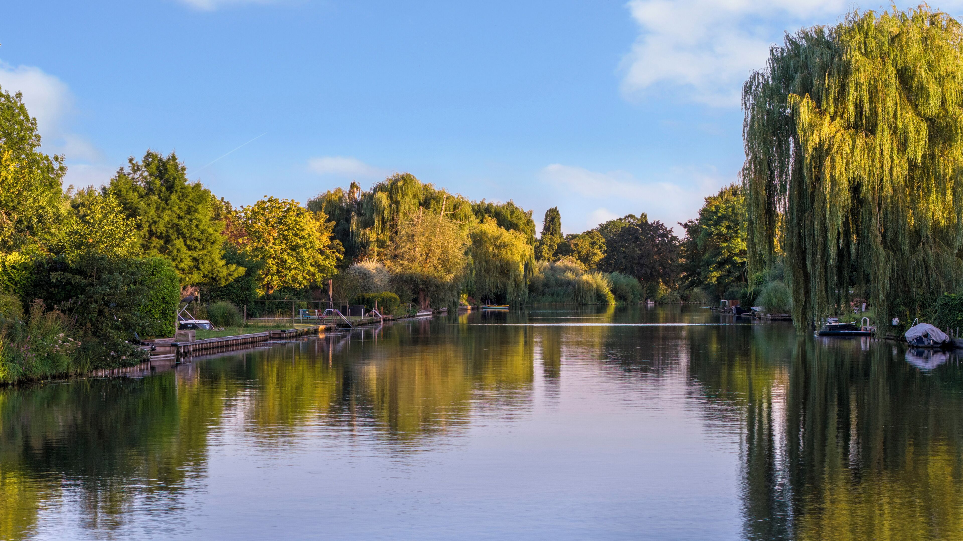 Un lac paisible avec un quai, entouré d’une végétation luxuriante et d’arbres.