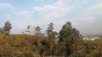 Vista desde la propiedad