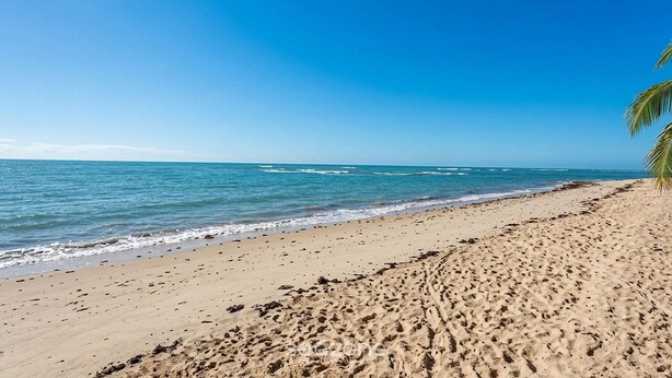 A sandy beach with gentle waves, a clear sky, and a palm tree on the right. - Studio 350 m From Pescadores Beach Dab0001 (Porto Seguro)