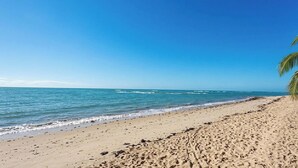 Ein sandiger Strand mit sanften Wellen, einem klaren Himmel und einer Palme rechts.