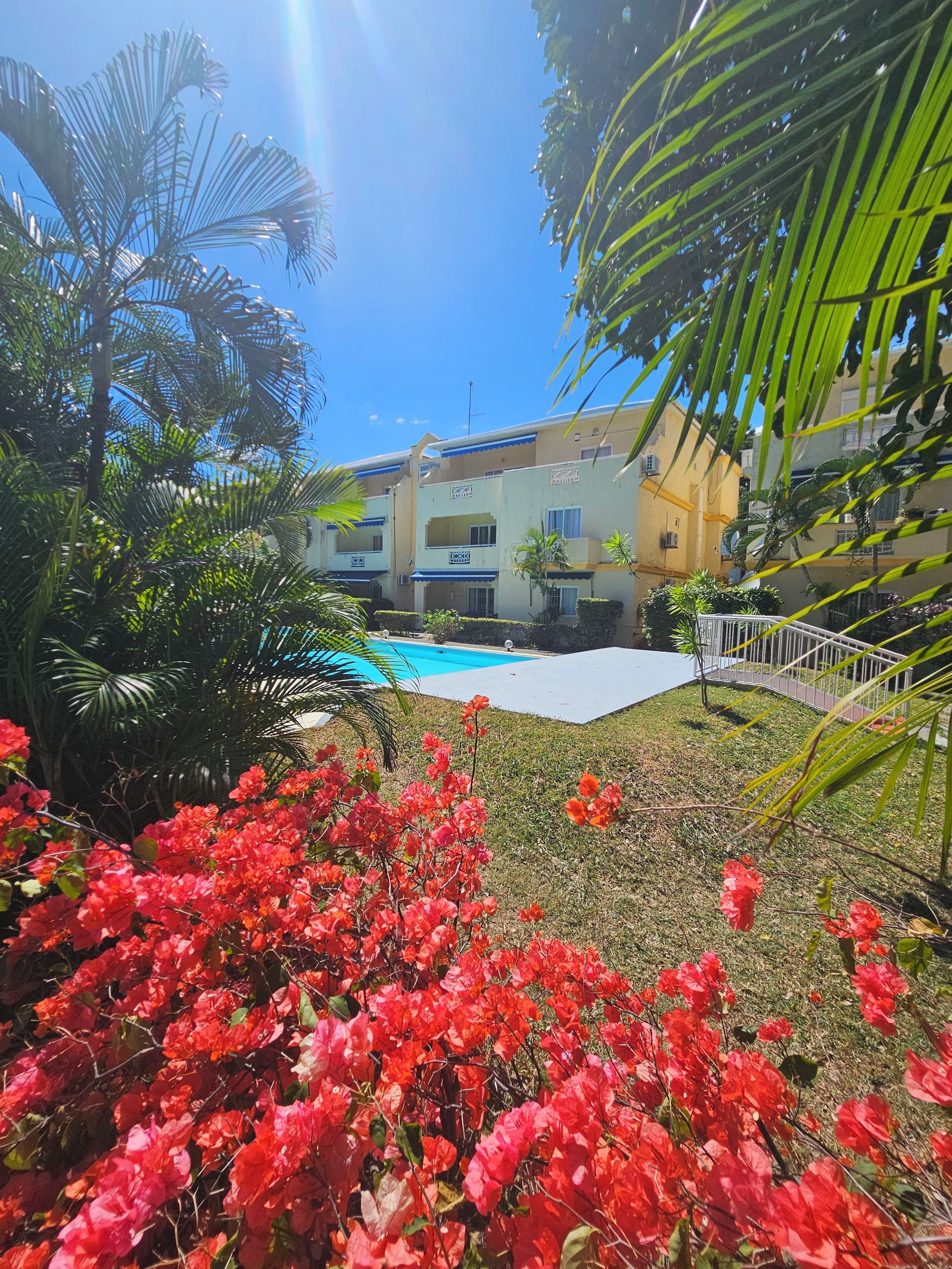 A pool area with a clear blue sky, surrounded by lush greenery and red flowers.