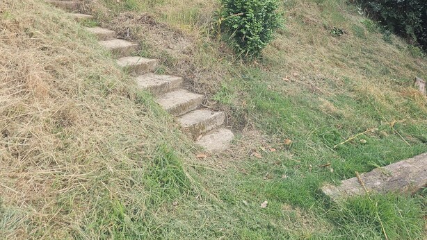 Stenen traptreden die omhoog leiden naar een grashelling, met weelderige begroeiing op de achtergrond.
