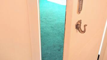 A doorway leading to a room with a green carpet and a white door with a pull handle.