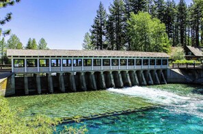 Eine Brücke mit Aussichtsplattform über einem Fluss, umgeben von Bäumen.
