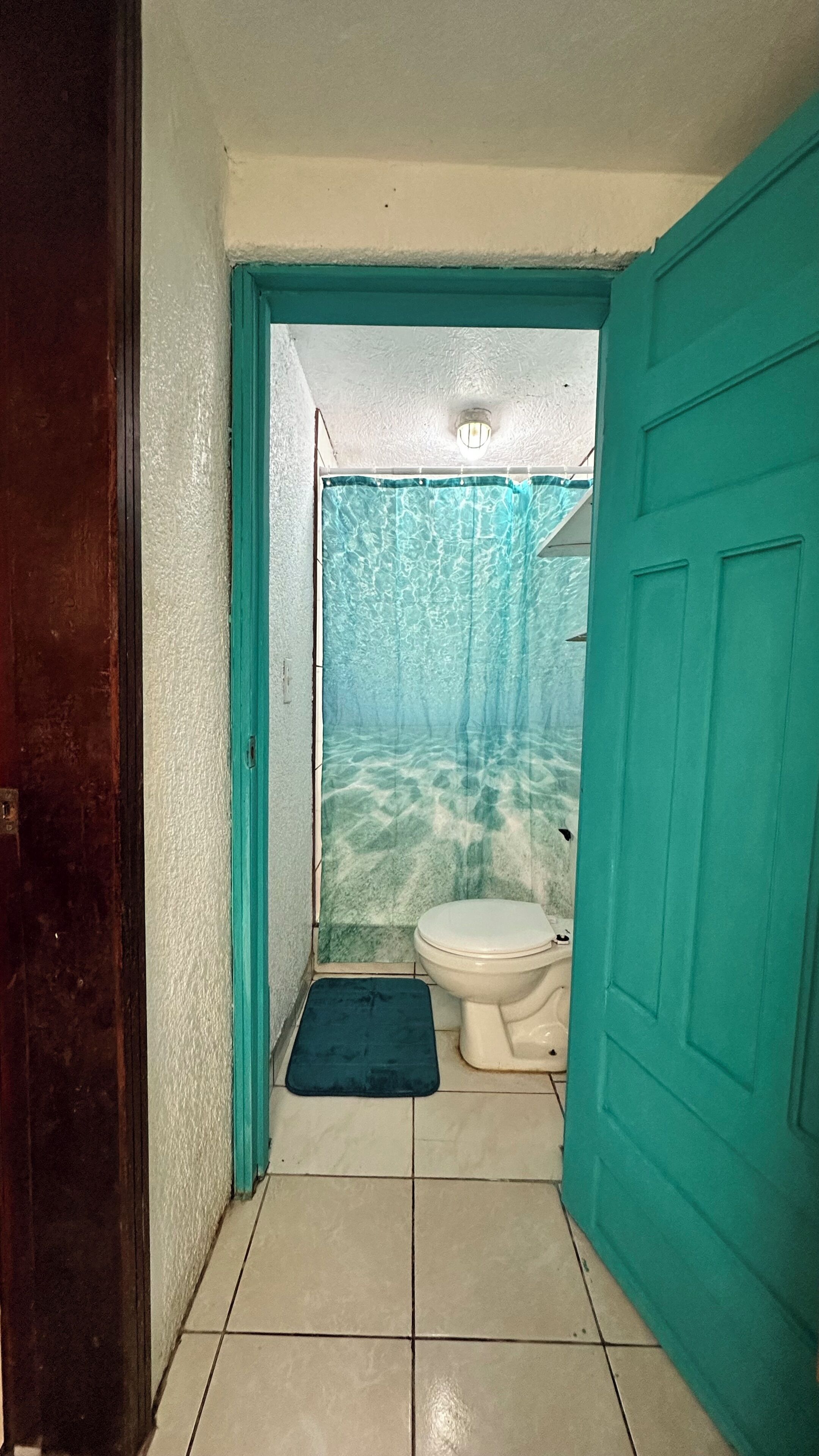 Shower, towels, soap, toilet paper
