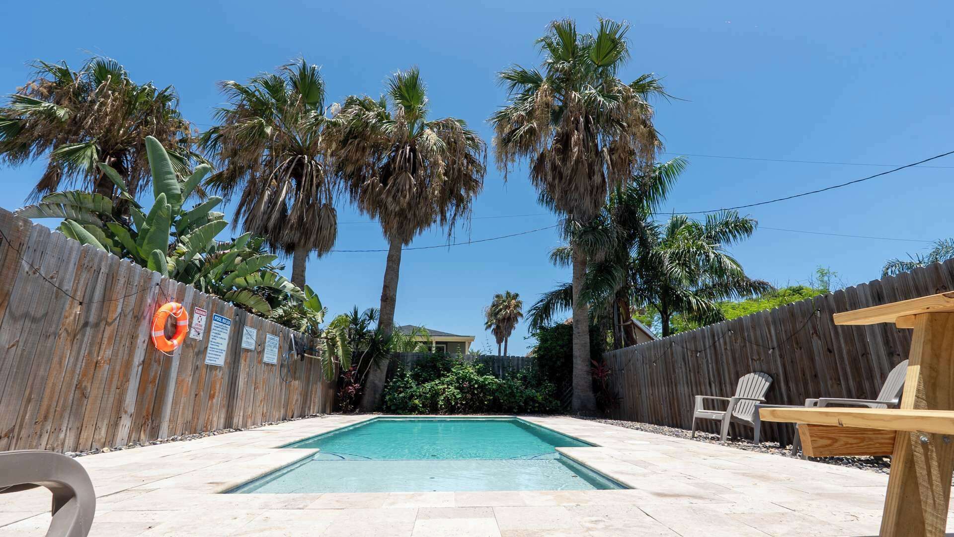 A backyard with a swimming pool, wooden fence, and palm trees.