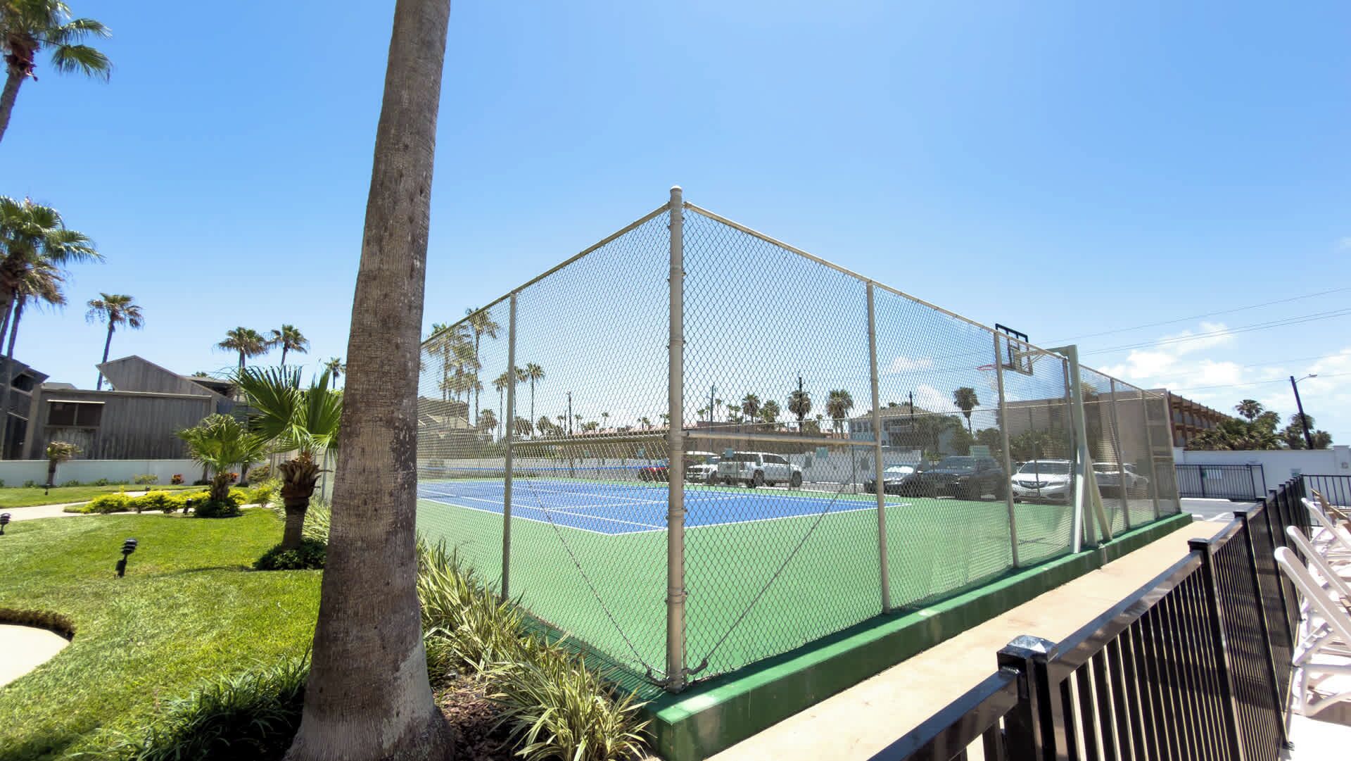 Un court de tennis délimité par une clôture en treillis métallique, entouré de palmiers et surplombé par un ciel dégagé.