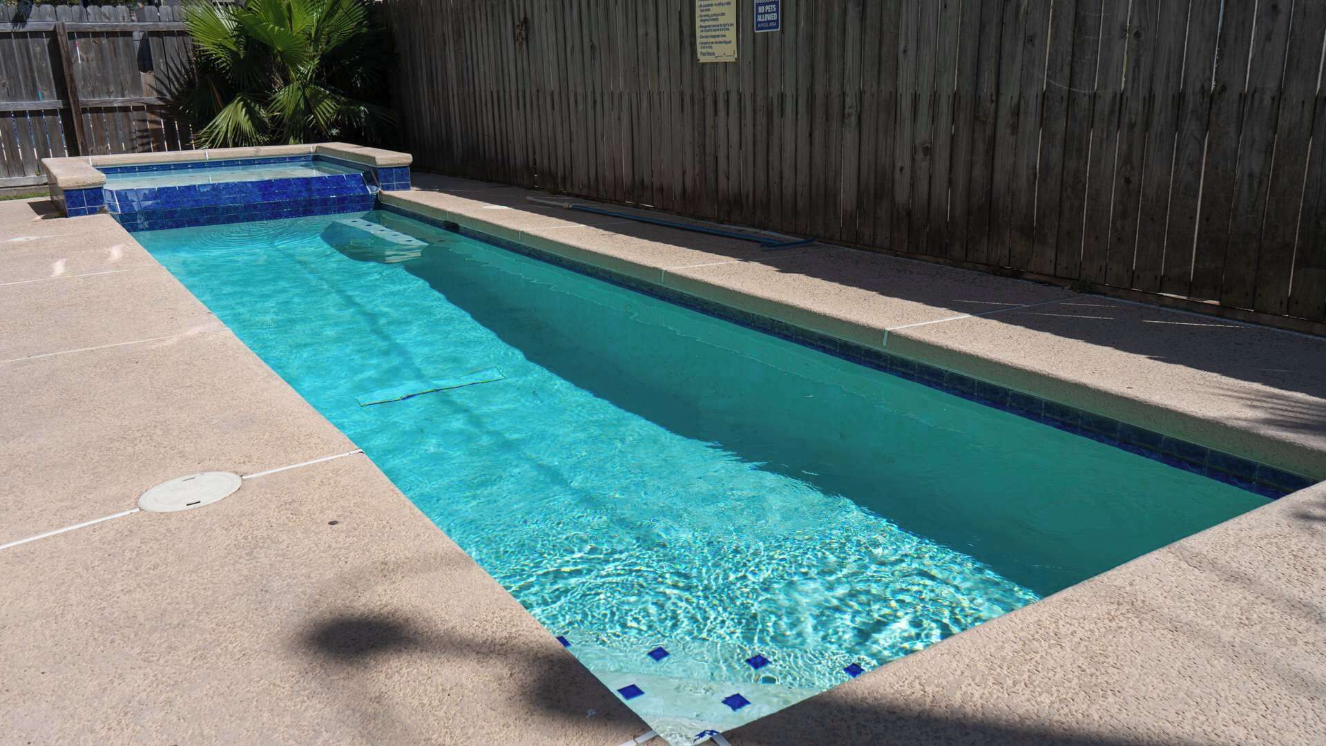 Una piscina rectangular con borde de azulejos, una valla de madera al fondo y agua cristalina de color azul.