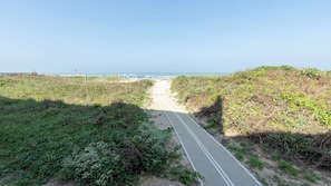 Uma trilha que leva a uma praia, com vegetação de ambos os lados.