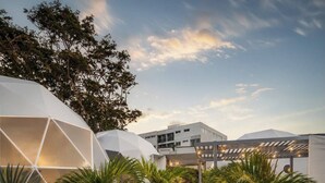 Un espacio exterior moderno con estructuras geométricas, palmeras y un camino que lleva a un edificio.
