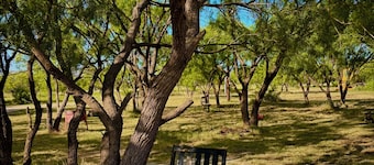 1-bed tiny home in Abilene. Minutes from data center, horse pasture available.