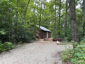 A cabin surrounded by dense forest with a gravel path leading to it.