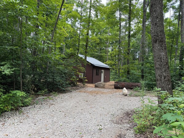 A cabin surrounded by dense forest with a gravel path leading to it.