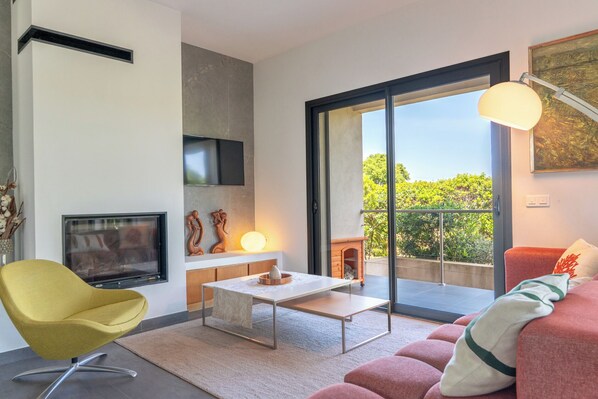TV, fireplace, books
