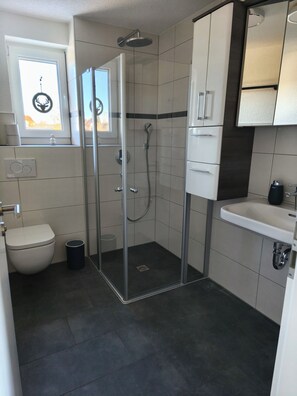 Regadera, secadora de cabello, papel de baño