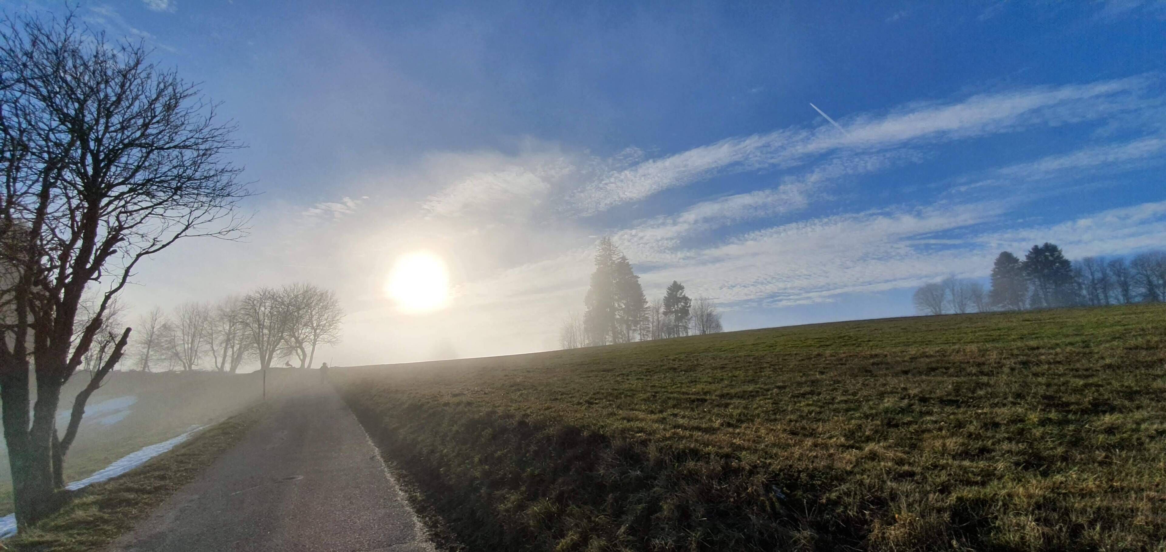 A rural road with a clear sky and sunlight.
