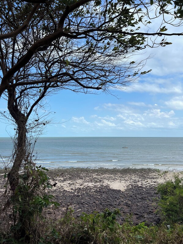 A beach with a tree in the foreground and a clear sky.