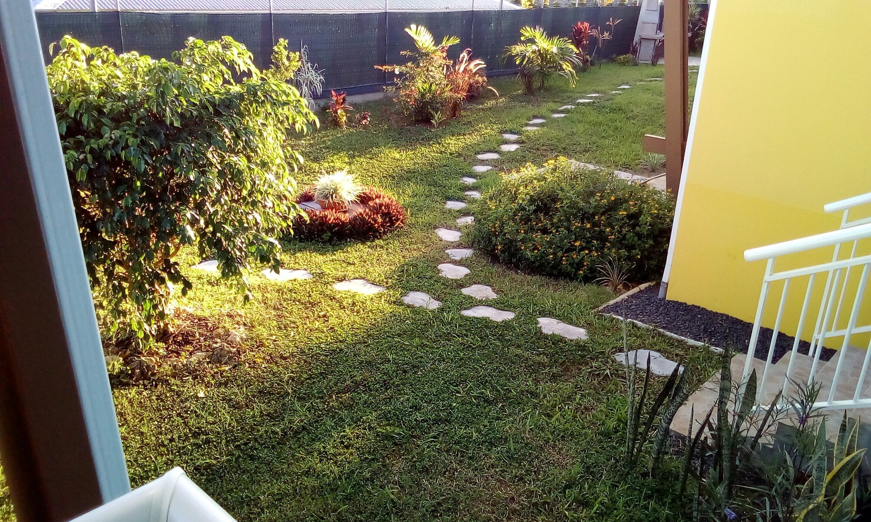 A well-maintained garden with a variety of plants and a stone pathway.