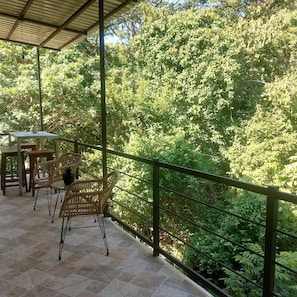 Comfort House, Mountain View | View from room - Casa Congo Tamarindo  (Villareal)
