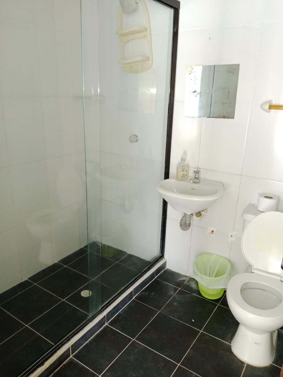 Shower, towels, soap, toilet paper
