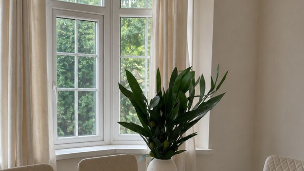 Una mesa de comedor con un florero de plantas verdes, sillas blancas y una ventana con cortinas.