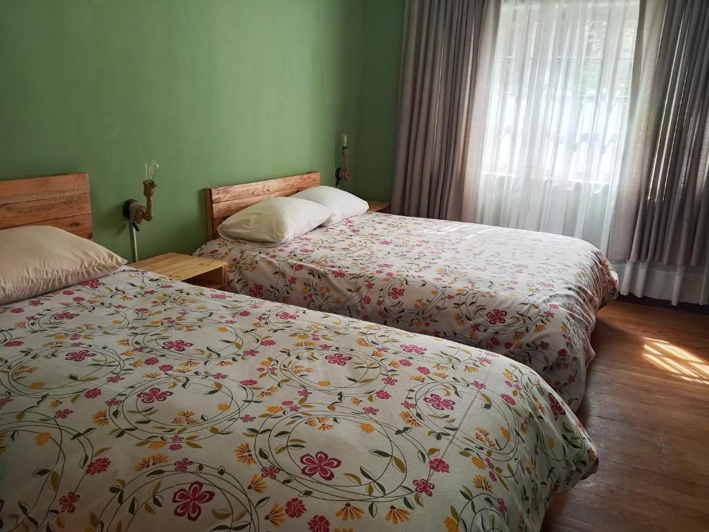 Un dormitorio con dos camas, paredes verdes y una ventana con cortinas.