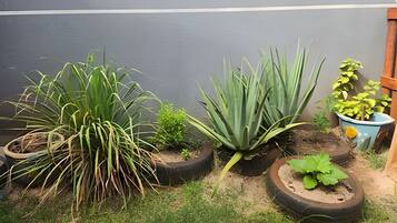 Vila básica | Área da propriedade