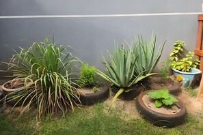 Jardín con diferentes plantas en macetas hechas con neumáticos, frente a una pared gris.
