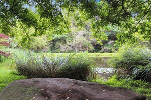 A natural landscape with a pond, dense greenery, and a large rock in the foreground.