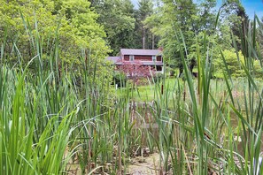 Une maison entourée d’herbes hautes et d’arbres.