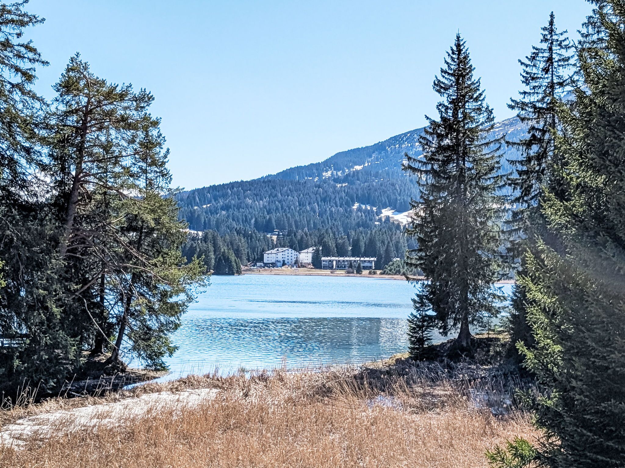 A lake surrounded by coniferous trees and a building complex in the background.