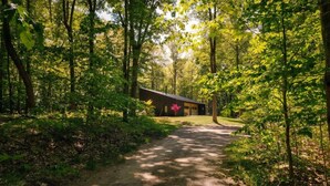 A forested area with a single building, a gravel path leading to it, and a pink flower in the foreground.